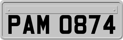 PAM0874