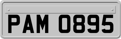 PAM0895