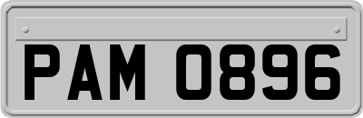 PAM0896