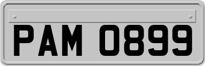 PAM0899
