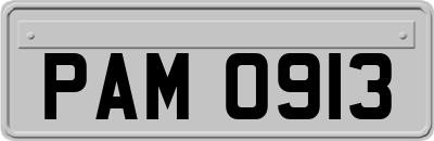 PAM0913
