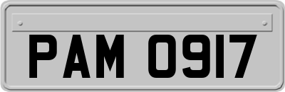 PAM0917
