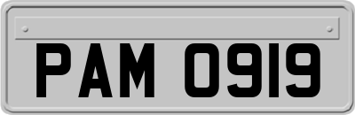 PAM0919