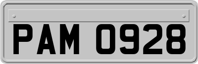 PAM0928
