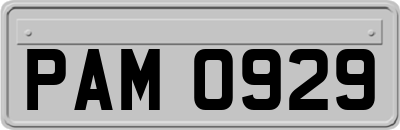 PAM0929