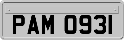 PAM0931
