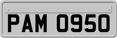 PAM0950