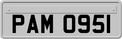 PAM0951