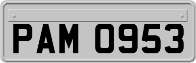PAM0953