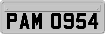 PAM0954