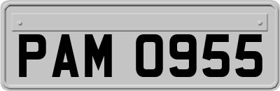 PAM0955