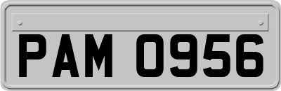 PAM0956