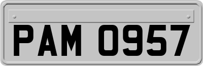 PAM0957