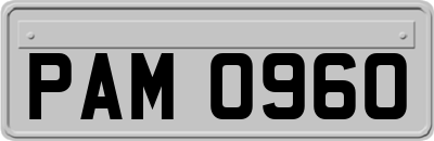 PAM0960