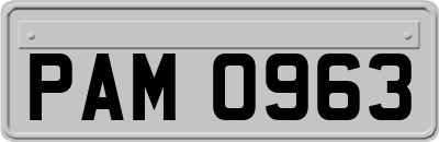 PAM0963