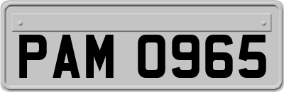 PAM0965