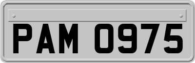 PAM0975