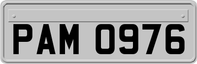 PAM0976