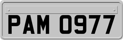 PAM0977