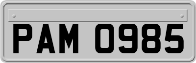 PAM0985