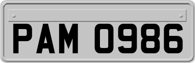PAM0986