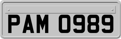 PAM0989