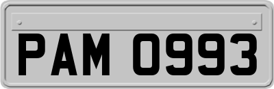 PAM0993
