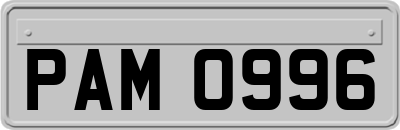 PAM0996