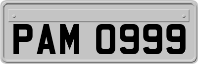 PAM0999