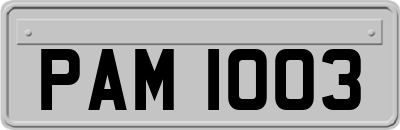 PAM1003