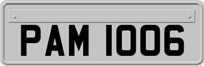 PAM1006