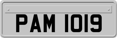PAM1019