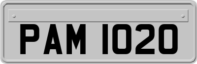 PAM1020