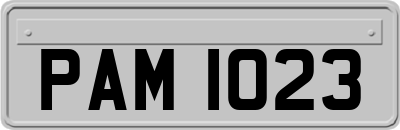 PAM1023
