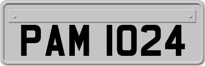 PAM1024