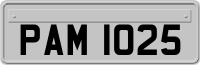 PAM1025