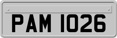 PAM1026