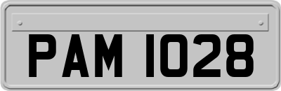 PAM1028
