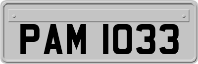 PAM1033
