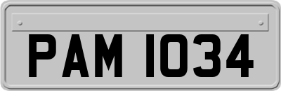 PAM1034