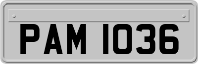 PAM1036