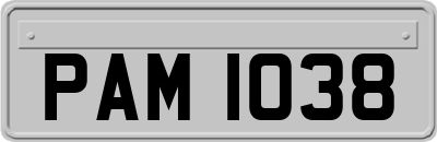 PAM1038