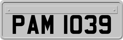PAM1039