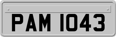 PAM1043