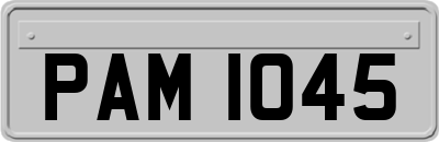 PAM1045