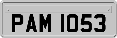 PAM1053