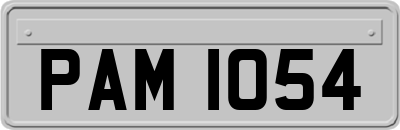 PAM1054