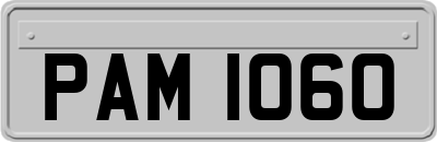 PAM1060