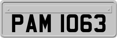 PAM1063