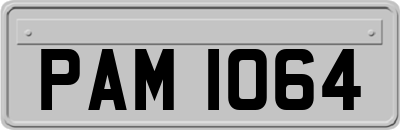 PAM1064